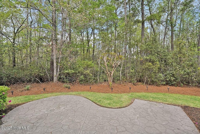 view of yard with a patio