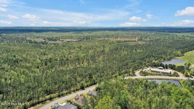 bird's eye view featuring a water view and a forest view