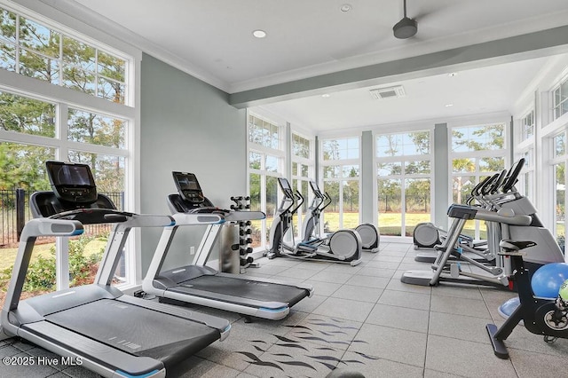 exercise room with plenty of natural light, visible vents, and ornamental molding