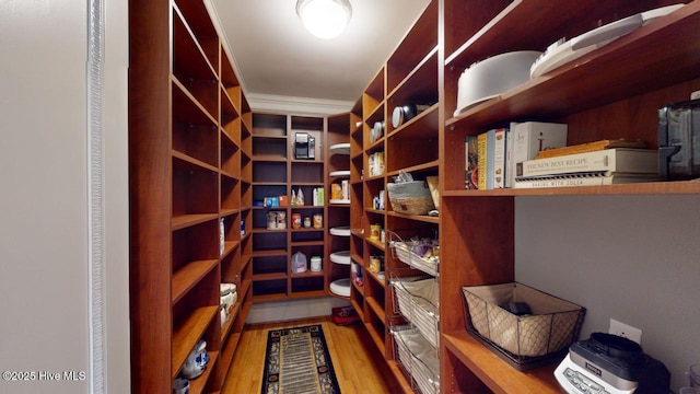 view of pantry