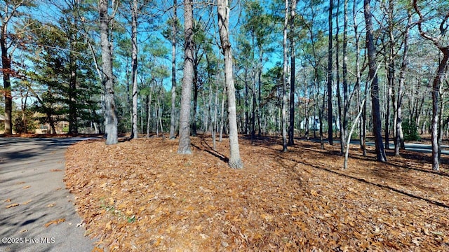 view of yard featuring a view of trees
