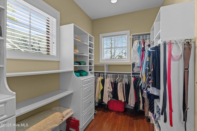 walk in closet with dark wood finished floors
