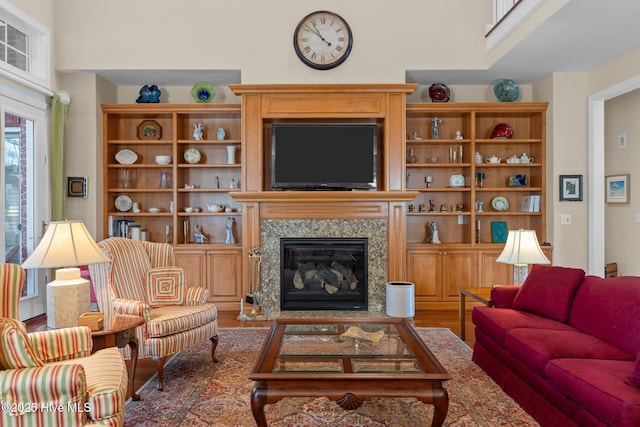 living room featuring wood finished floors and a fireplace