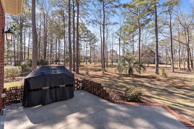 view of patio with grilling area
