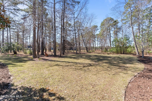6790 Waterstone Xing SW, Ocean Isle Beach, NC 28469 - view of green lawn