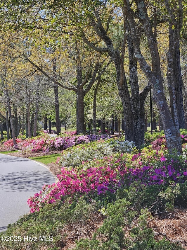 view of property's community with a forest view