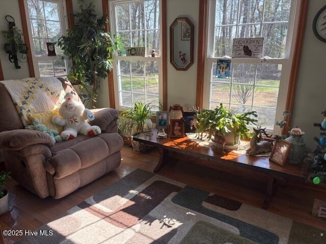 interior space featuring a healthy amount of sunlight