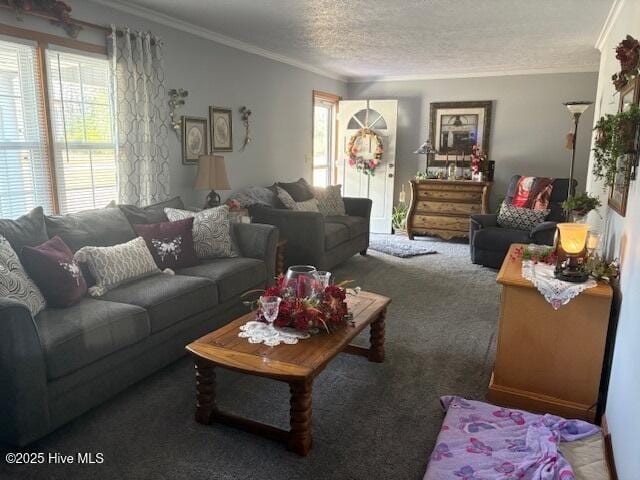 living room featuring crown molding, carpet floors, and a textured ceiling