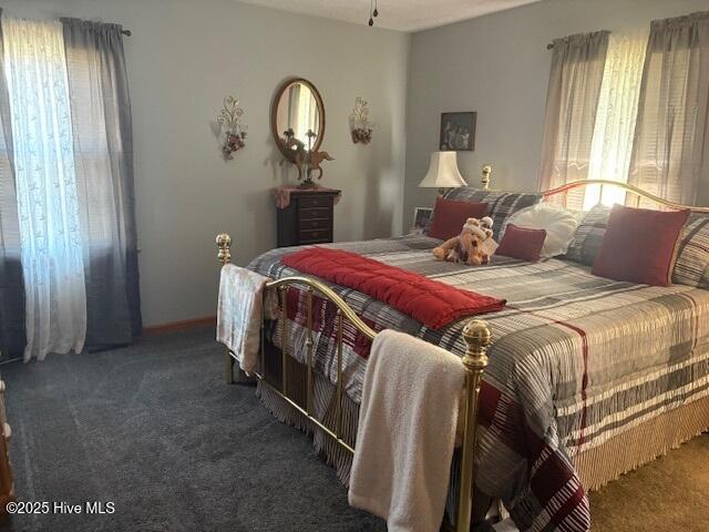 bedroom with carpet floors