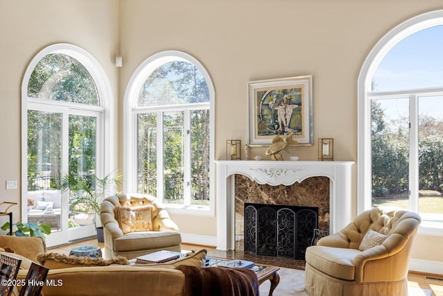 living area featuring a premium fireplace, baseboards, and a healthy amount of sunlight