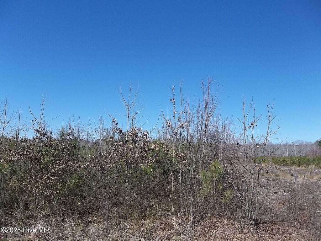 LOT1 Boat Ramp Rd Lot # 1, New Hope, NC 27944