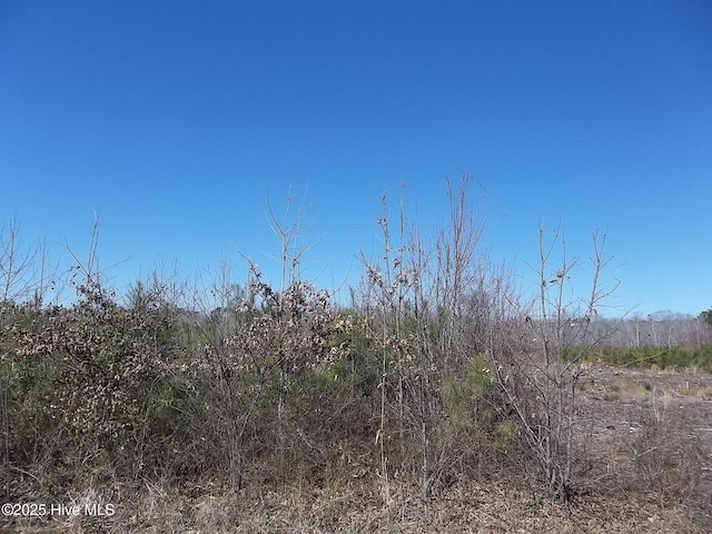 LOT1 Boat Ramp Rd Lot # 1, New Hope, NC 27944