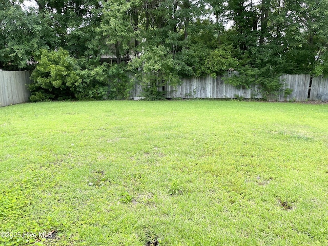 142 Witten Cir Unit A, Havelock, NC 28532 - view of yard