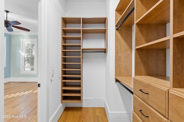 1037 Anchors Bend Way, Wilmington, NC 28411 - spacious closet with a ceiling fan and light wood-style flooring