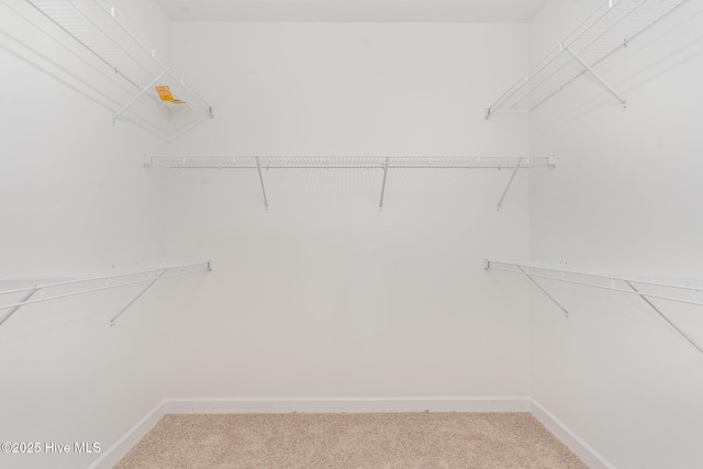 30 Tee Dr, Selma, NC 27576 - spacious closet with carpet floors