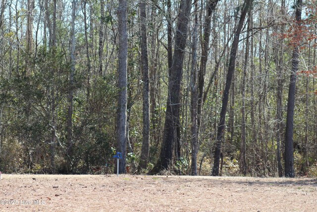 331 Newberry Lndg Unit 8, Roper, NC 27970