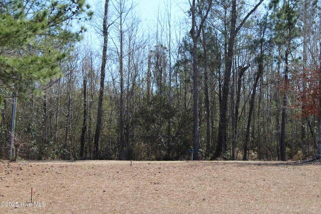 331 Newberry Lndg Unit 8, Roper, NC 27970