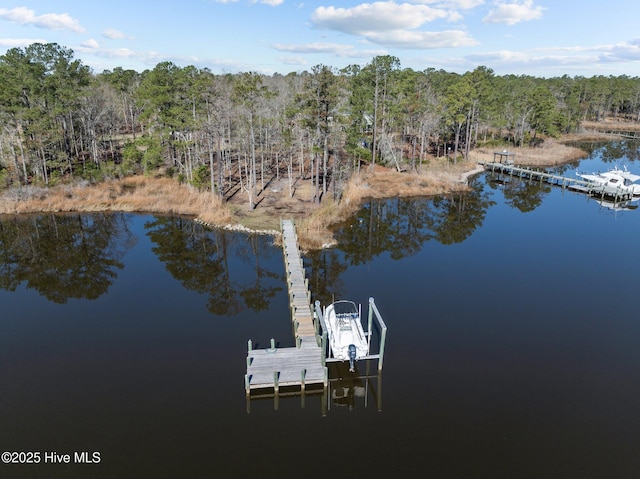 dock area with a forest view and a water view