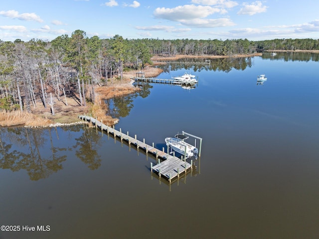 bird's eye view with a water view and a view of trees