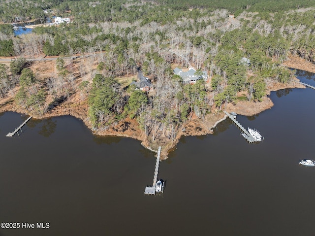 drone / aerial view featuring a view of trees and a water view