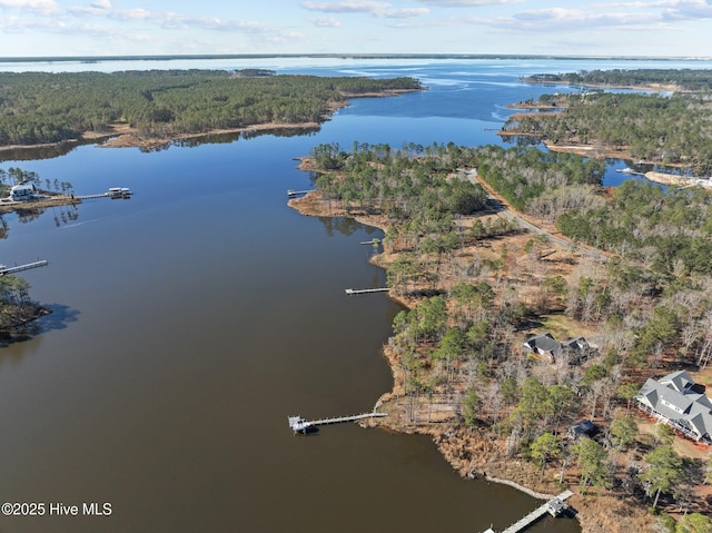 birds eye view of property with a water view and a view of trees