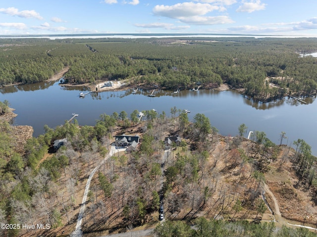 birds eye view of property featuring a forest view and a water view