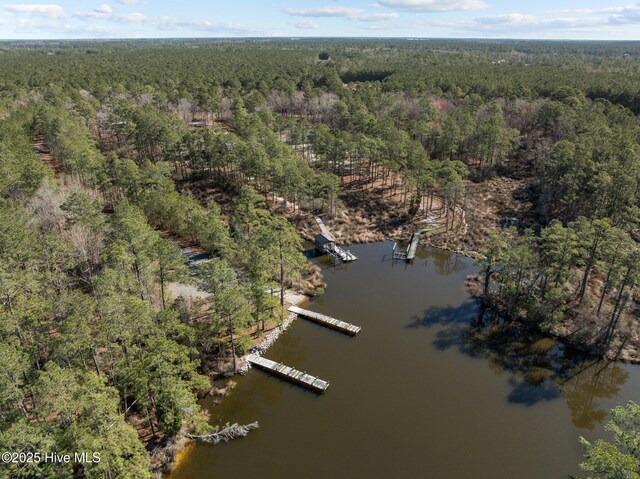 birds eye view of property with a wooded view and a water view