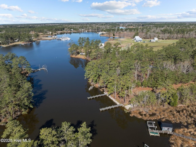 aerial view with a water view and a wooded view