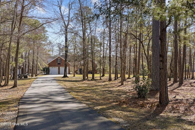 view of home's community with driveway
