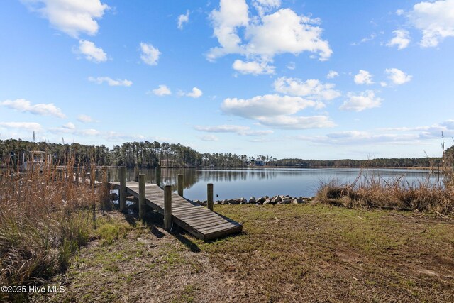 view of dock with a water view