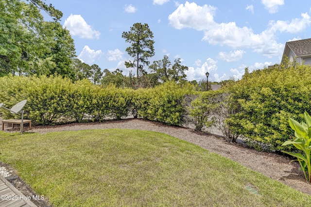 6211 Wrightsville Ave Unit 111, Wilmington, NC 28403 - view of green lawn