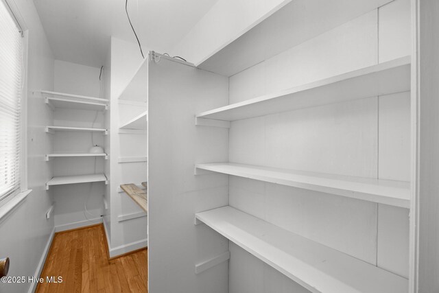 view of pantry