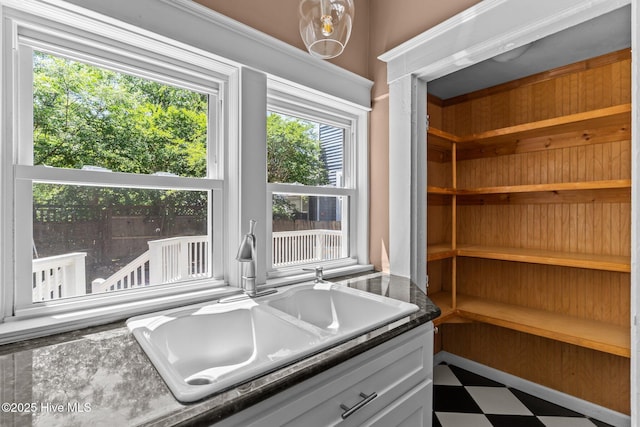 pantry featuring a sink