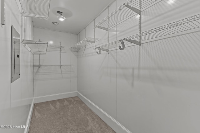 walk in closet featuring carpet flooring