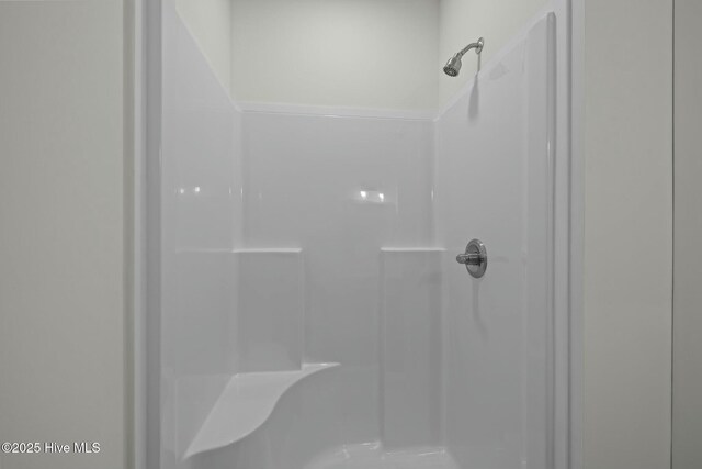 1615 Live Oak St Unit A & B, Beaufort, NC 28516 - bathroom with a shower