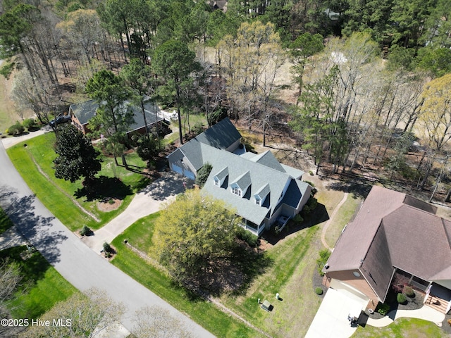 drone / aerial view