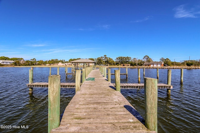 dock area with a water view