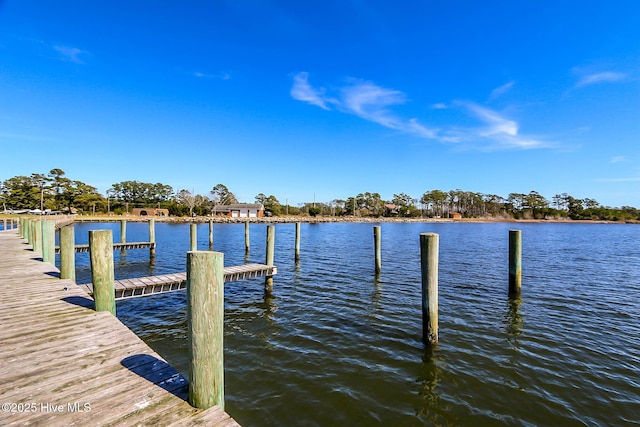 dock area featuring a water view