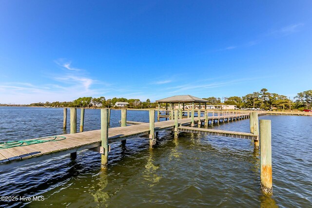 dock area with a water view