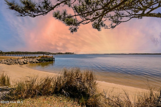 property view of water