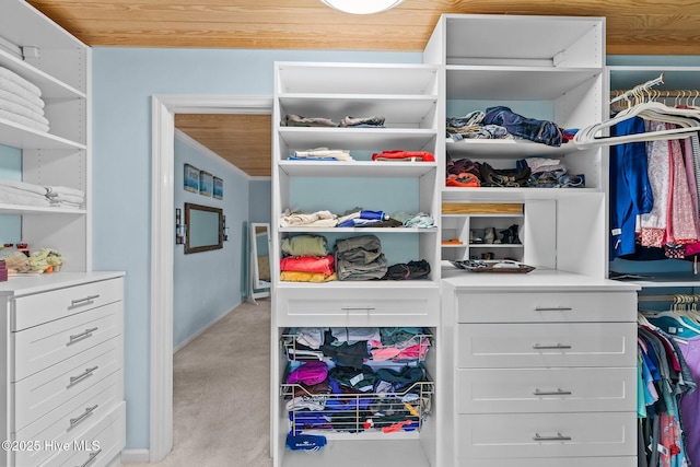 walk in closet with light colored carpet