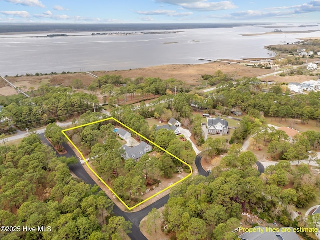 aerial view with a water view