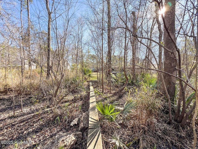 393 Knollwood Dr, Hampstead, NC 28443 - view of local wilderness
