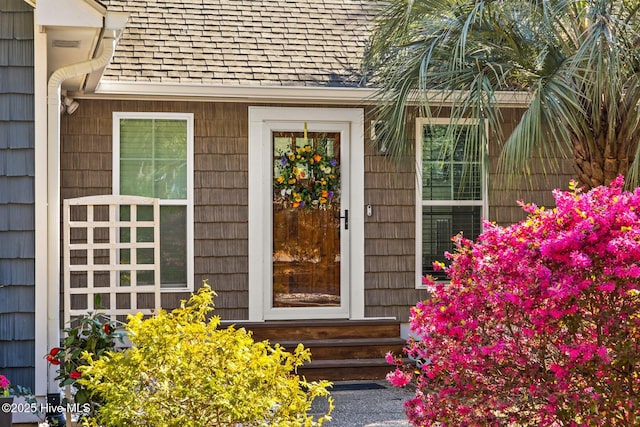 1817 Egret St SW, Shallotte, NC 28470 - view of doorway to property
