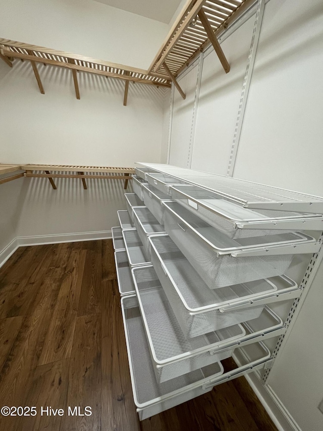1325 Grandiflora Dr, Leland, NC 28451 - walk in closet featuring wood finished floors
