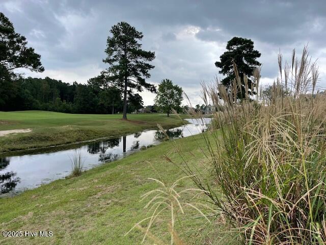 1325 Grandiflora Dr, Leland, NC 28451 - property view of water