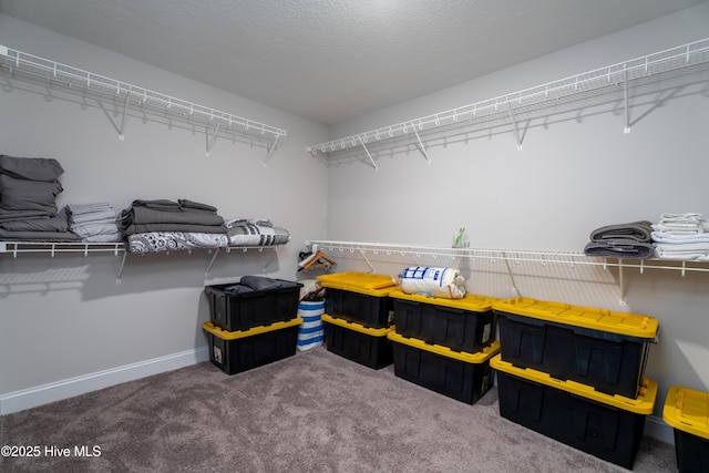 walk in closet with carpet
