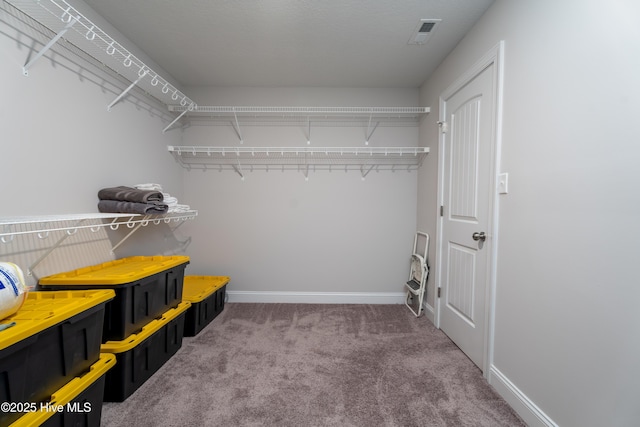 spacious closet featuring carpet floors and visible vents