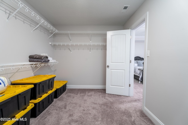 spacious closet featuring visible vents and carpet flooring