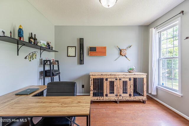 office area featuring baseboards, a textured ceiling, and wood finished floors